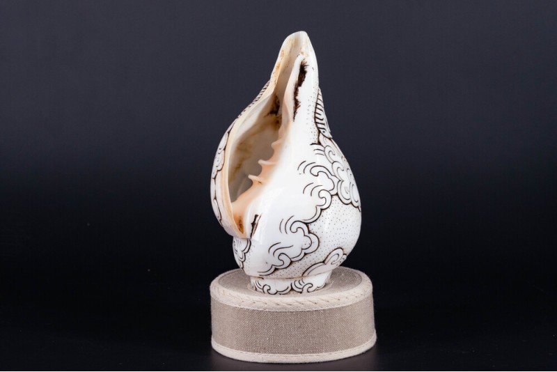 High Quality Buddha carved Shankha